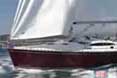 Delphia 40