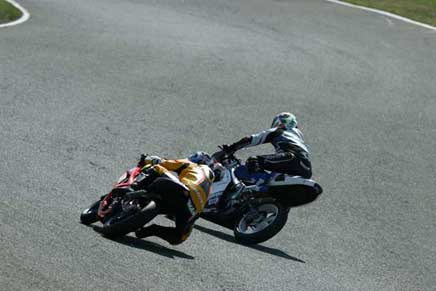 alpe adria vidend na grobniku