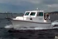 Galeb
