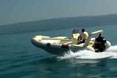 Barracuda 530