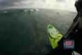Surf
